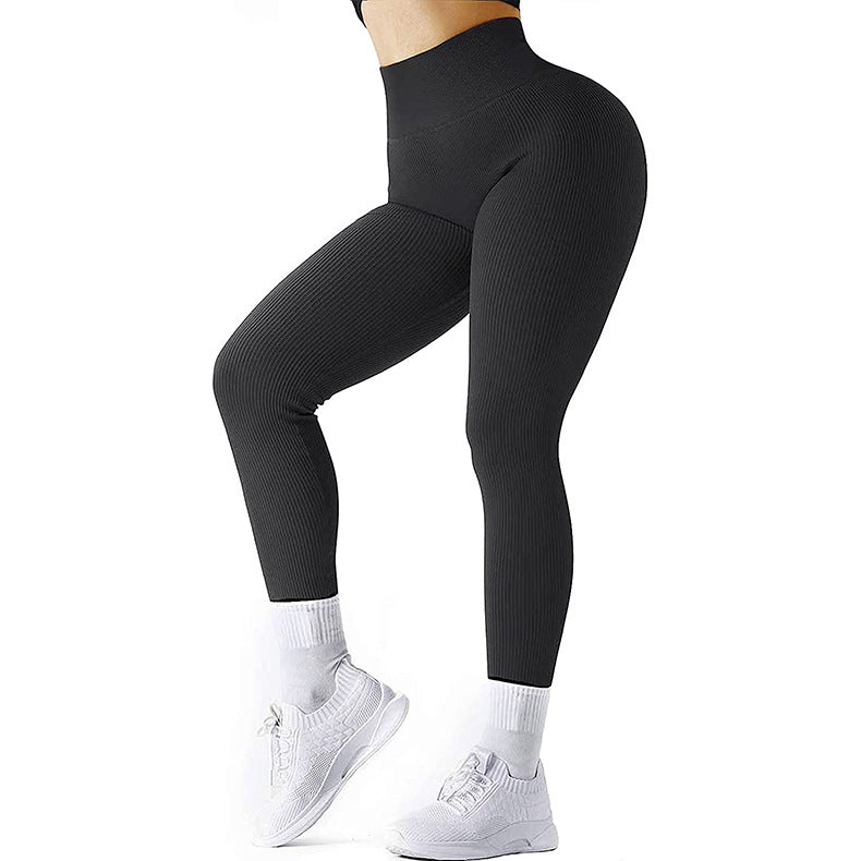 Envisi High Waist Leggings - Envisi Co.